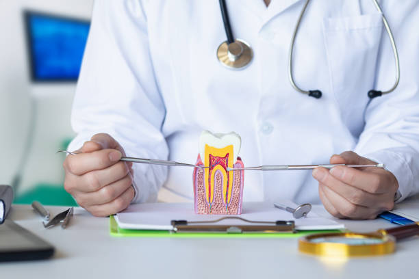 Best Emergency Dental Care for Abscessed Tooth in Baidland, PA